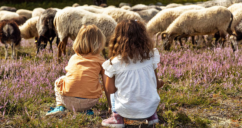 Foto: Landkreis Harburg