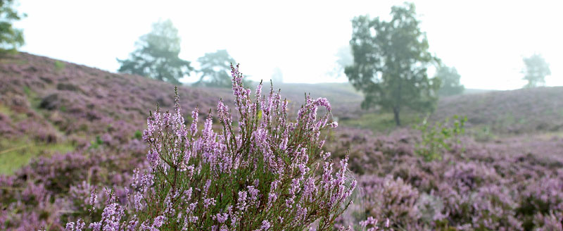 Foto: Landkreis Harburg